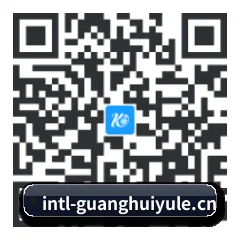 系统版 Android 二维码